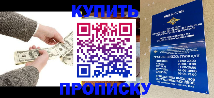 купить прописку в Архангельске