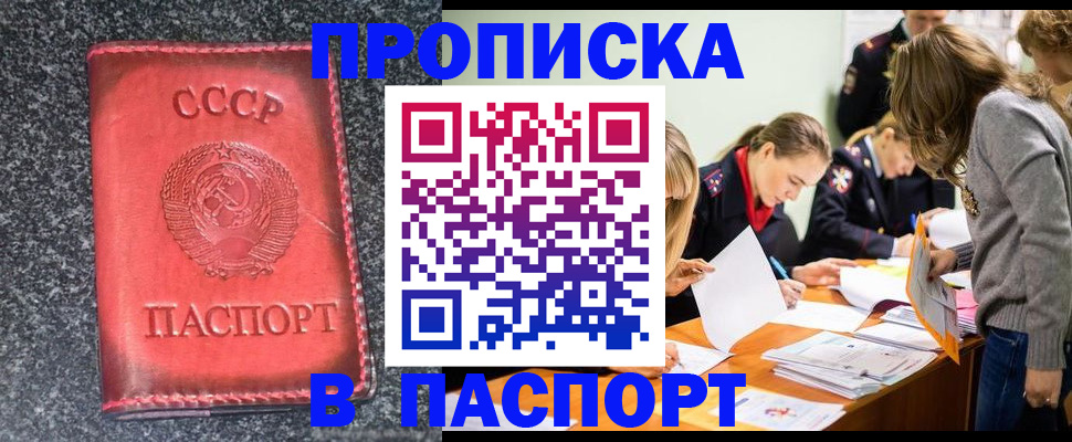 прописка для школы в Архангельске